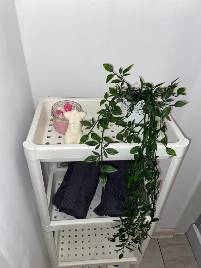 Apartament Grunwaldzka Bydgoszcz Extérieur photo